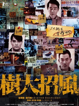 树大招风