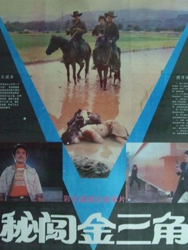 秘闯金三角