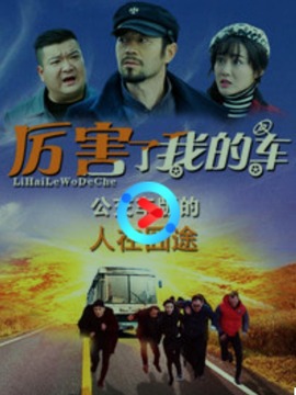 厉害了我的车