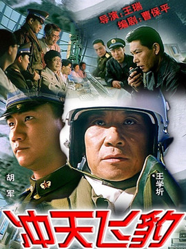 冲天飞豹