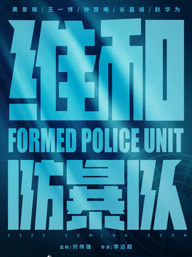 维和防暴队