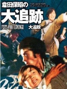 大追踪