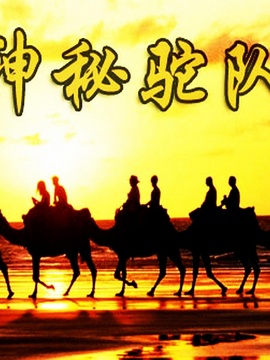 神秘驼队