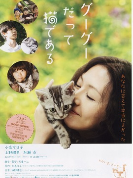 咕咕是一只猫