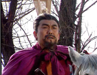 邓禹的后人邓飏,他为何会被灭三族? 邓禹的后人邓飏,他为何会被灭三族?