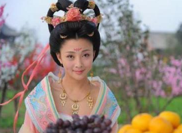 唐玄宗为什么不顾群臣反对,强行将儿媳杨玉环立为贵妃? 唐玄宗为什么不顾群臣反对,强行将儿媳杨玉环立为贵妃?