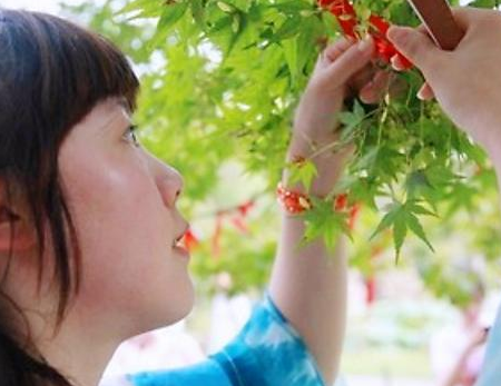 大雁作为一种野生鸟类 古人为何对大雁如此崇拜 大雁作为一种野生鸟类 古人为何对大雁如此崇拜