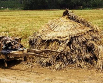 古代土地那么多 古人为什么帮地主打工都不去开荒种地 古代土地那么多 古人为什么帮地主打工都不去开荒种地
