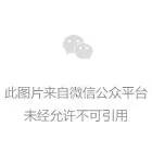 罗马史-读《罗马史研究入门》 罗马史-读《罗马史研究入门》